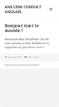 Mobile Screenshot of anslinkconsult.com